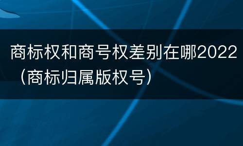 商标权和商号权差别在哪2022（商标归属版权号）