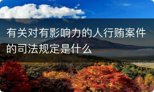 有关对有影响力的人行贿案件的司法规定是什么