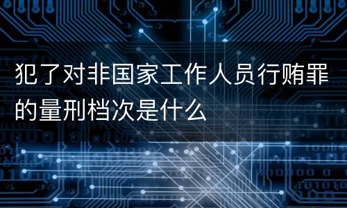 犯了对非国家工作人员行贿罪的量刑档次是什么