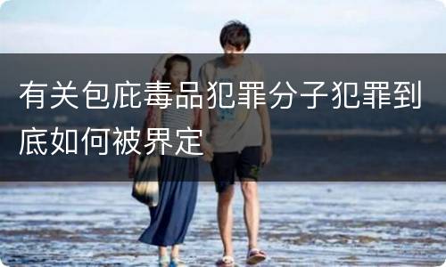 有关包庇毒品犯罪分子犯罪到底如何被界定