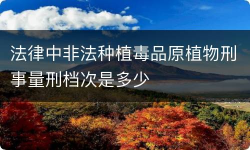 法律中非法种植毒品原植物刑事量刑档次是多少
