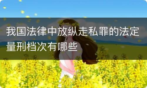 我国法律中放纵走私罪的法定量刑档次有哪些