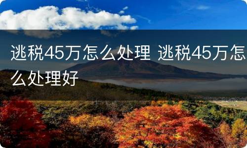 逃税45万怎么处理 逃税45万怎么处理好
