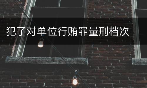 犯了对单位行贿罪量刑档次