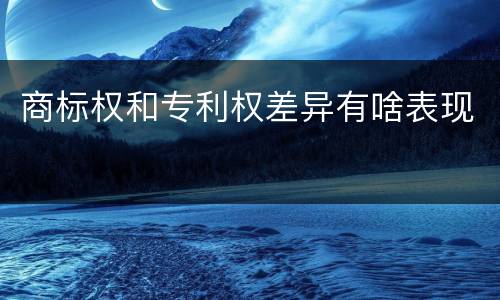 商标权和专利权差异有啥表现