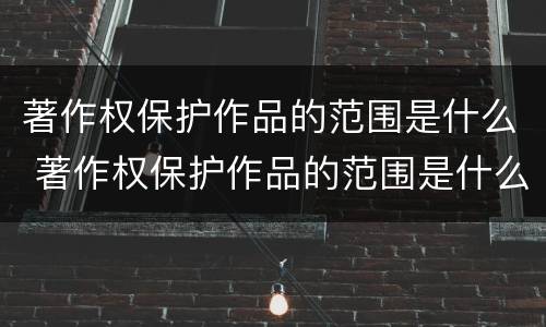 著作权保护作品的范围是什么 著作权保护作品的范围是什么