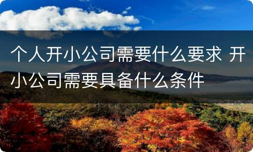 个人开小公司需要什么要求 开小公司需要具备什么条件