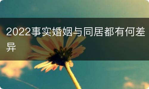 2022事实婚姻与同居都有何差异