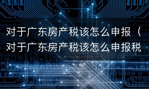 对于广东房产税该怎么申报（对于广东房产税该怎么申报税款）