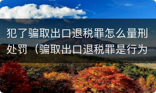 犯了骗取出口退税罪怎么量刑处罚（骗取出口退税罪是行为犯还是结果犯）