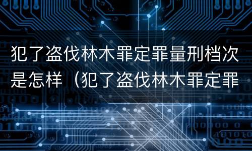 犯了盗伐林木罪定罪量刑档次是怎样（犯了盗伐林木罪定罪量刑档次是怎样定的）
