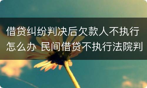 借贷纠纷判决后欠款人不执行怎么办 民间借贷不执行法院判决书怎么处理