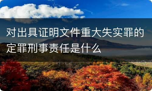 对出具证明文件重大失实罪的定罪刑事责任是什么