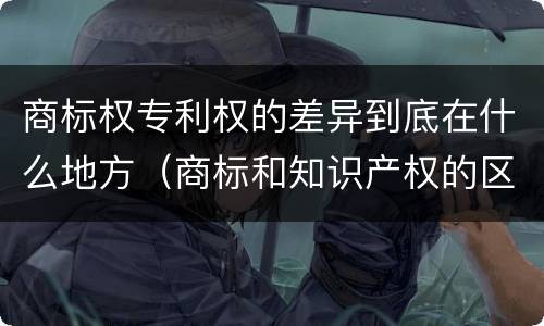 商标权专利权的差异到底在什么地方（商标和知识产权的区别）