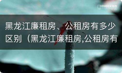 黑龙江廉租房、公租房有多少区别（黑龙江廉租房,公租房有多少区别呢）