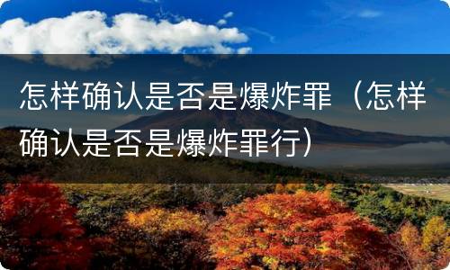 怎样确认是否是爆炸罪（怎样确认是否是爆炸罪行）