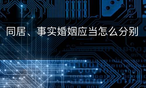 同居、事实婚姻应当怎么分别