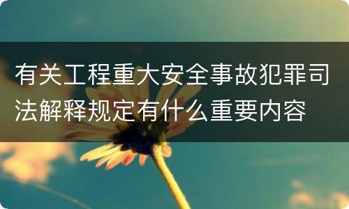 有关工程重大安全事故犯罪司法解释规定有什么重要内容