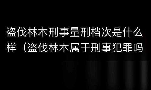 盗伐林木刑事量刑档次是什么样（盗伐林木属于刑事犯罪吗）