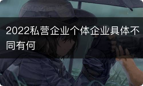 2022私营企业个体企业具体不同有何