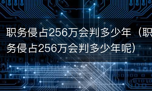 职务侵占256万会判多少年（职务侵占256万会判多少年呢）
