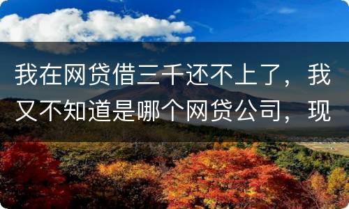 我在网贷借三千还不上了，我又不知道是哪个网贷公司，现在他们起诉我了，我会坐牢吗