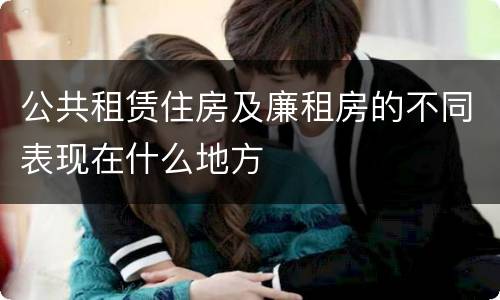 公共租赁住房及廉租房的不同表现在什么地方