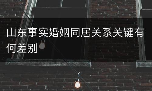 山东事实婚姻同居关系关键有何差别