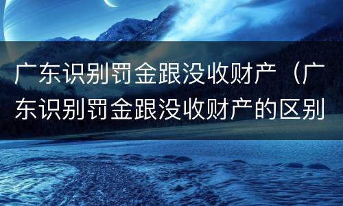 广东识别罚金跟没收财产（广东识别罚金跟没收财产的区别）