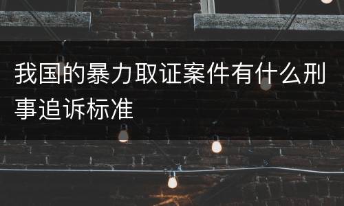 我国的暴力取证案件有什么刑事追诉标准