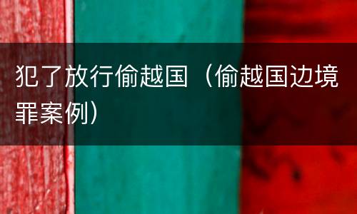 犯了放行偷越国（偷越国边境罪案例）