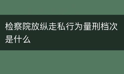检察院放纵走私行为量刑档次是什么