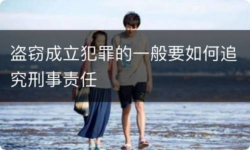 盗窃成立犯罪的一般要如何追究刑事责任
