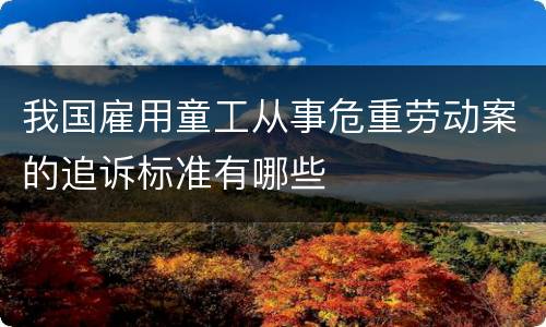 我国雇用童工从事危重劳动案的追诉标准有哪些