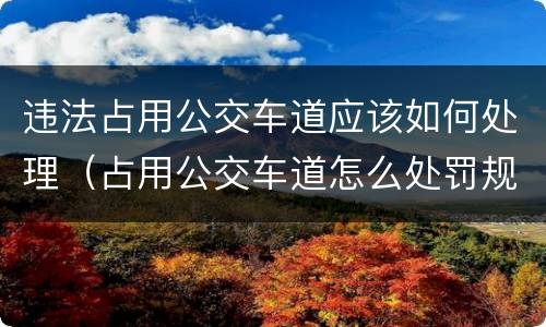 违法占用公交车道应该如何处理（占用公交车道怎么处罚规定）