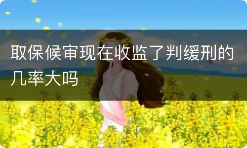 取保候审现在收监了判缓刑的几率大吗