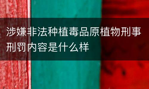 涉嫌非法种植毒品原植物刑事刑罚内容是什么样