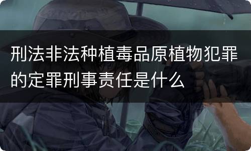 刑法非法种植毒品原植物犯罪的定罪刑事责任是什么