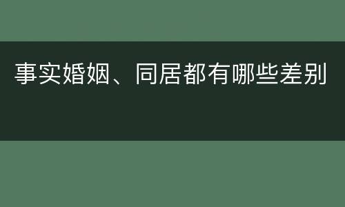 事实婚姻、同居都有哪些差别