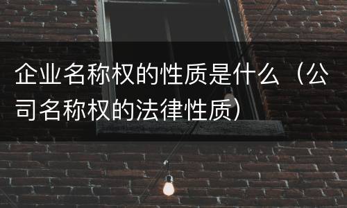 企业名称权的性质是什么（公司名称权的法律性质）