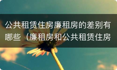 公共租赁住房廉租房的差别有哪些（廉租房和公共租赁住房的区别）