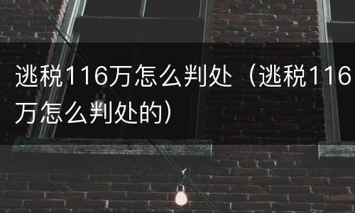 逃税116万怎么判处（逃税116万怎么判处的）