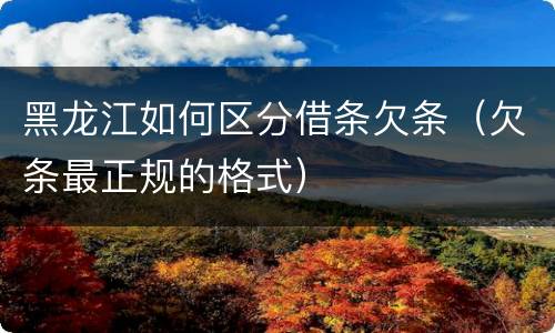 黑龙江如何区分借条欠条（欠条最正规的格式）