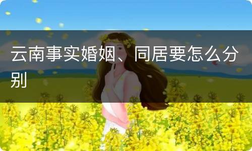云南事实婚姻、同居要怎么分别