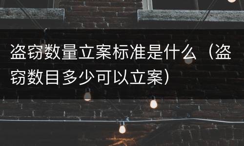 盗窃数量立案标准是什么（盗窃数目多少可以立案）