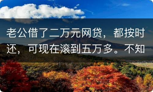 老公借了二万元网贷，都按时还，可现在滚到五万多。不知道怎么办