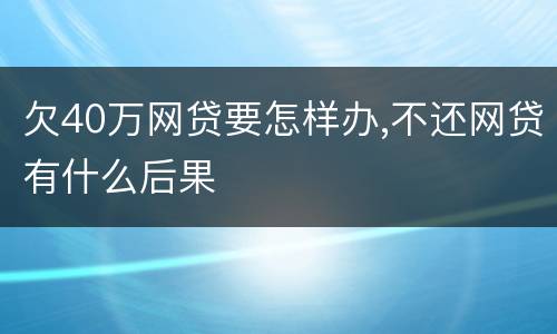 欠40万网贷要怎样办,不还网贷有什么后果