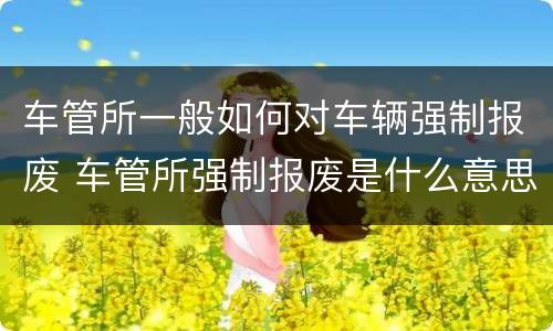 车管所一般如何对车辆强制报废 车管所强制报废是什么意思