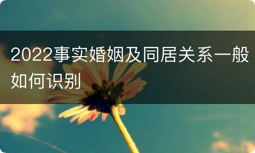 2022事实婚姻及同居关系一般如何识别