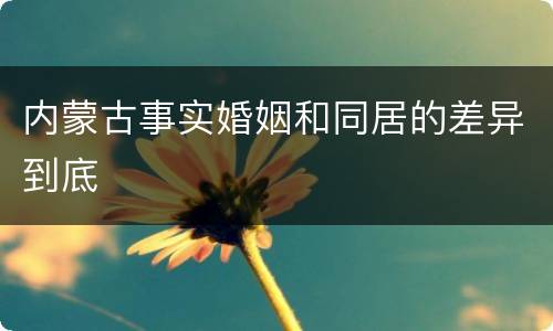 内蒙古事实婚姻和同居的差异到底